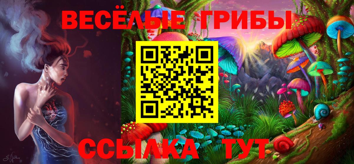 Галлюциногенные грибы мицелий  Галлюциногенные грибы GOLDEN TEACHER  Оренбург  Вход с VPN 